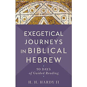 Exegetical Journeys in Biblical Hebrew