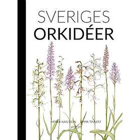 Sveriges orkidéer