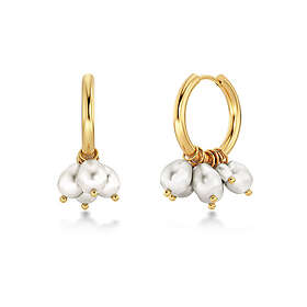 Edblad Pearl signet hoops guldfärgade 127828