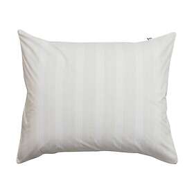Mille Notti Camicia örngott Beige 50x60 cm