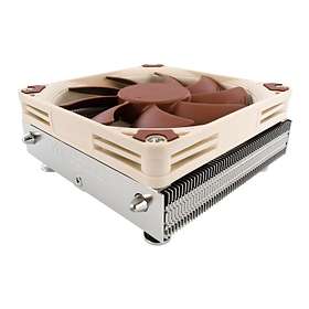 Noctua