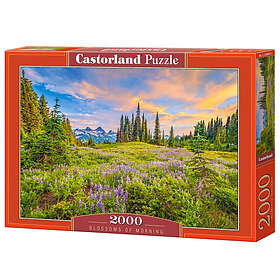 Castorland Blossoms of Morning 2000 Bitar