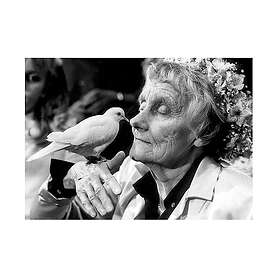 Postkort A6 Astrid Og Duen Astrid Lindgren