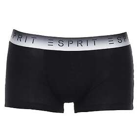 Esprit Chad Shorts 2-pack