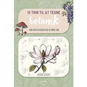 10 trin til at tegne botanik