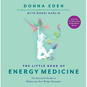 The Little Book of Energy Medicine