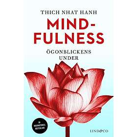 Mindfulness: Ögonblickens under