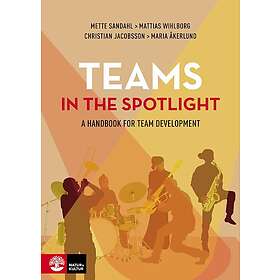 Teams in the spotlight: A handbook for team development