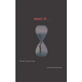 The sun in the night: Poetry