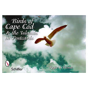Birds Of Cape Cod & The Islands In Postcards