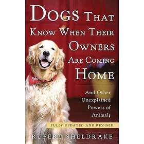 Dogs That Know When Their Owners Are Coming Home