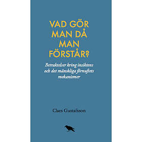 Vad gör man då man förstår?: Betraktelser kring insiktens och det mänsklig