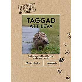 Taggad att leva: Igelkottens liv, historiska resa och hotade framtid