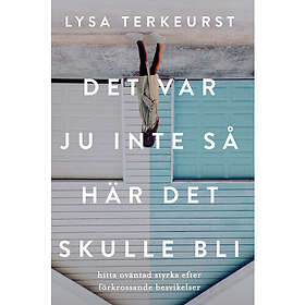 Det var ju inte så här det skulle bli