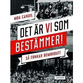 Det är vi som bestämmer!: Så funkar demokrati (lättläst) Nivå 3