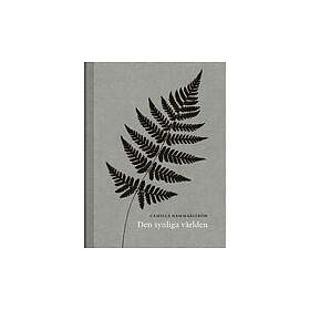 Den synliga världen