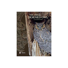 Great horned owl an in-depth study
