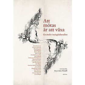 Att mötas är att växa: En studie i mångkulturalitet