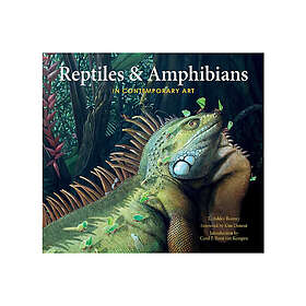 Reptiles & amphibians in contemporary art