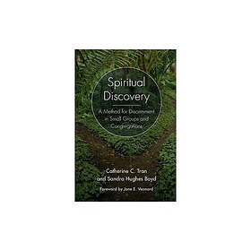 Spiritual discovery a method for discernment in small groups and congrega