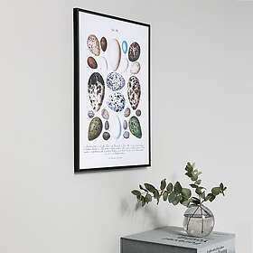 Focus Can-Can Aluminium Black 30x40