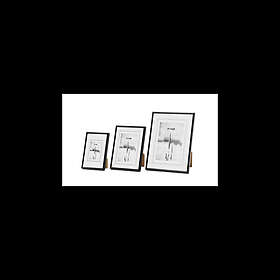 Focus Can-Can Aluminium Black 40x50