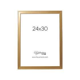 Focus Pop Gold 24x30