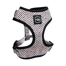 Gustaf & Evita Sele Soft Modish M