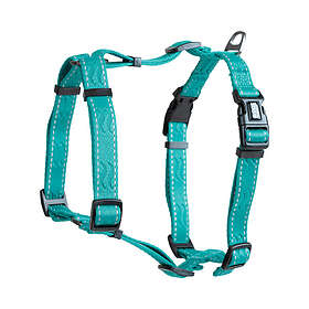 Selected by ZOO Rufus H-sele Turkos XXS/XS