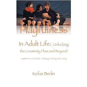 Playfulness in Adult Life