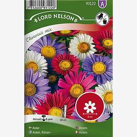 Nelson Garden Fröer Chinensis mix Enkel Asters färger