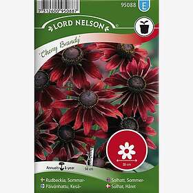 Nelson Garden Sommersolhatt Cherry Brandy