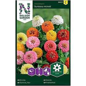 Nelson Garden Zinnia Sunbow