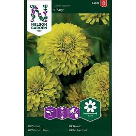 Nelson Garden Zinnia Envy Sinnia