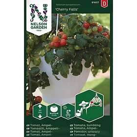 Nelson Garden tomat Cherry Falls
