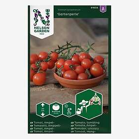Nelson Garden Tomat, Ampel-, Gartenperle