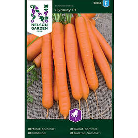Nelson Garden Morot Sommergulrot Flyaway F1