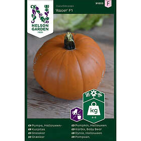 Nelson Garden Pumpa Racer F1