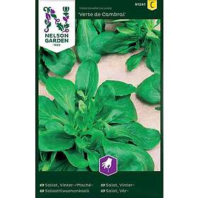 Nelson Garden Verte de Cambrai