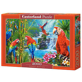 Castorland Papegojmöte 2000 Bitar