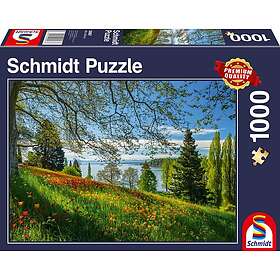 Schmidt Tulips flowering 1000 bitar