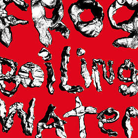 DIIV Frog In Boiling Water LP/Vinyl