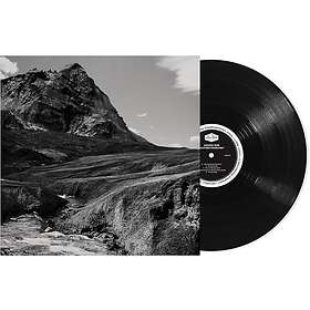 Andrew Bird Outside Problems LP/Vinyl
