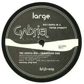Roy Davis Jr Gabriel LP/Vinyl