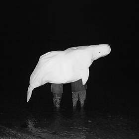 Safia Nolin Ufo Religion LP/Vinyl