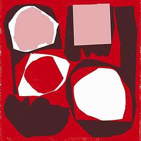 Diverse Artister Go Mod: The Anthology LP/Vinyl