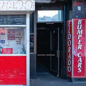 DaRand Land Wander Being LP/Vinyl