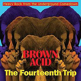 Diverse Artister Brown Acid Fourteenth Trip (various Artists) LP/Vinyl