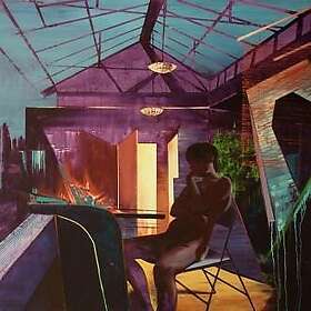 Sea Change Breakage LP/Vinyl