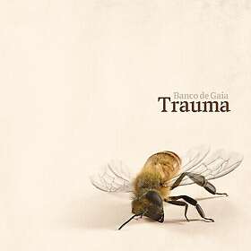 Banco De Gaia Trauma LP/Vinyl